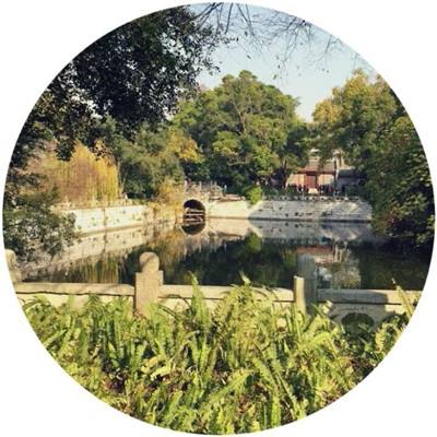 裁决领域变态版下载